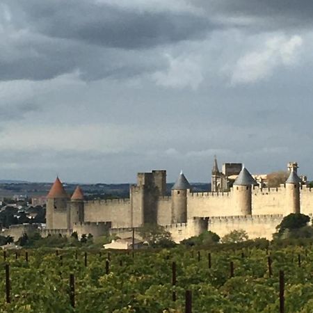 Les Orchidees Carcassonne Exterior foto