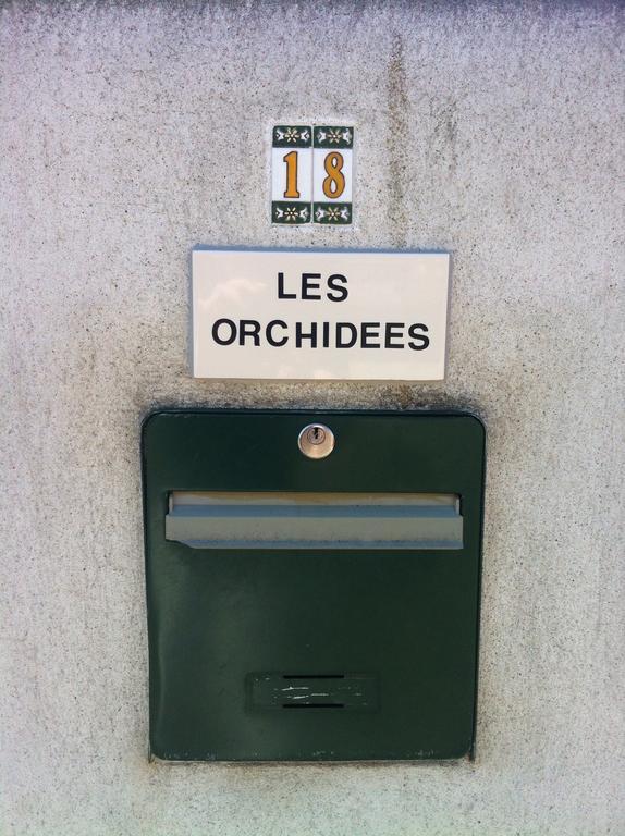 Les Orchidees Carcassonne Exterior foto
