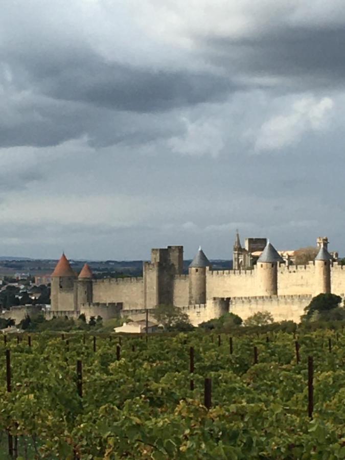 Les Orchidees Carcassonne Exterior foto
